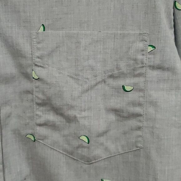 Banana Republic Luxe Poplin Button Down Shirt with Lime Wedge Pattern Size L - Picture 2 of 11